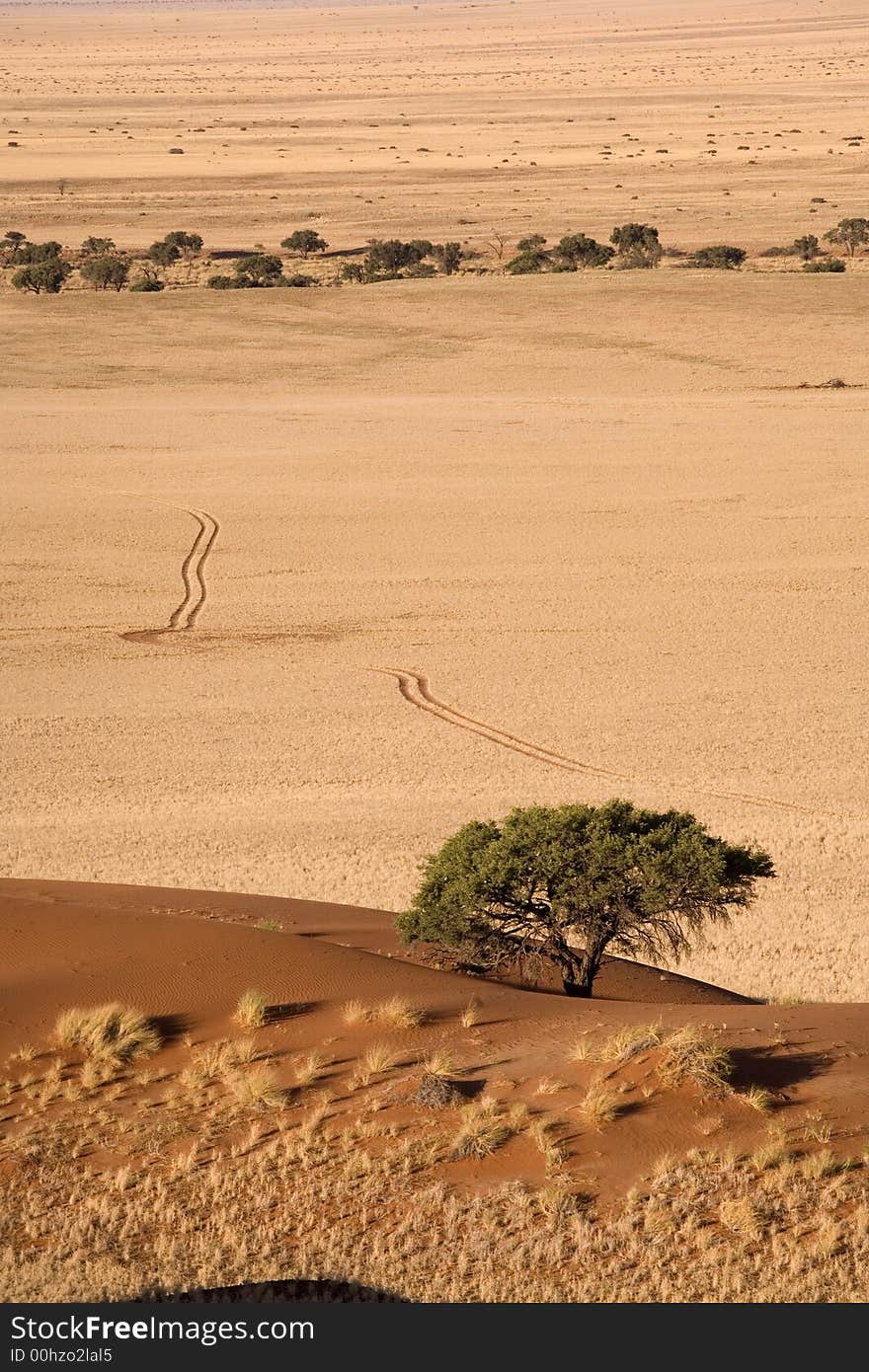 Sand dunes in Africa, desert