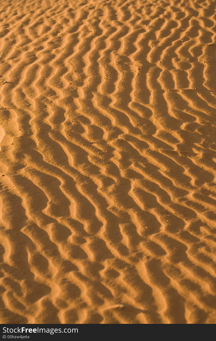 Desert sand dune in namibia africa