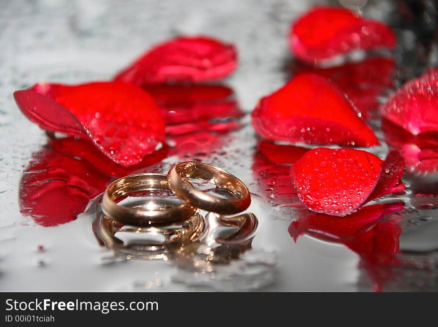 Beautiful wedding rings on a wet smooth surface with petals of roses.