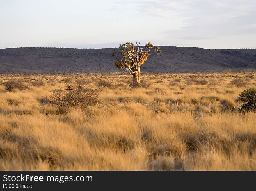 Sunset or sunrise over the desert in namibia