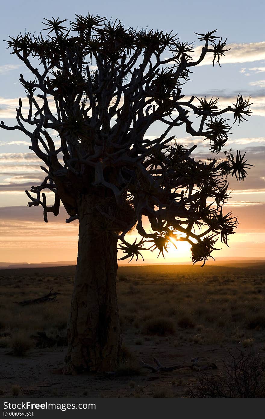 Sunset or sunrise over the desert in namibia