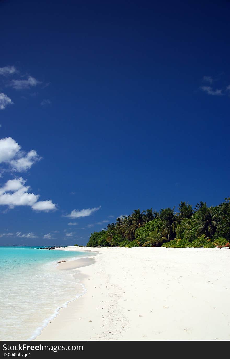 Tropical beach on the maldives. Tropical beach on the maldives