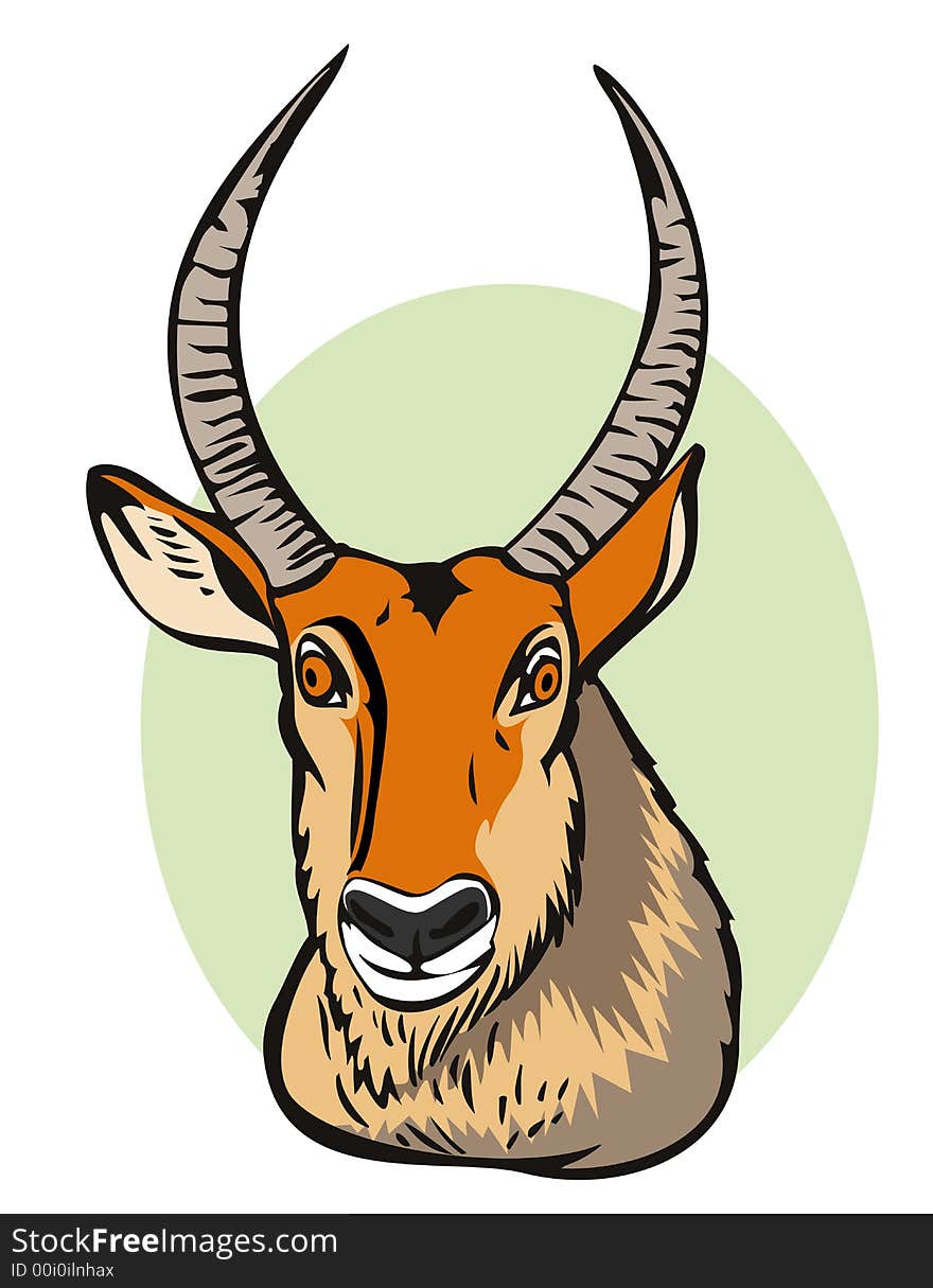 Defassa Waterbuck