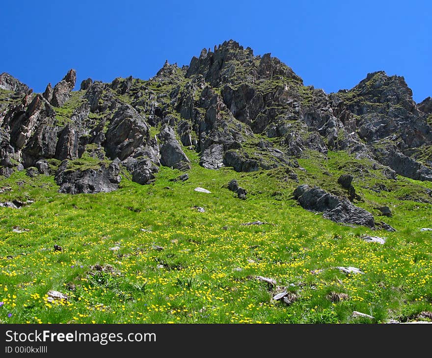 Alpine Meadow, Alps, CH