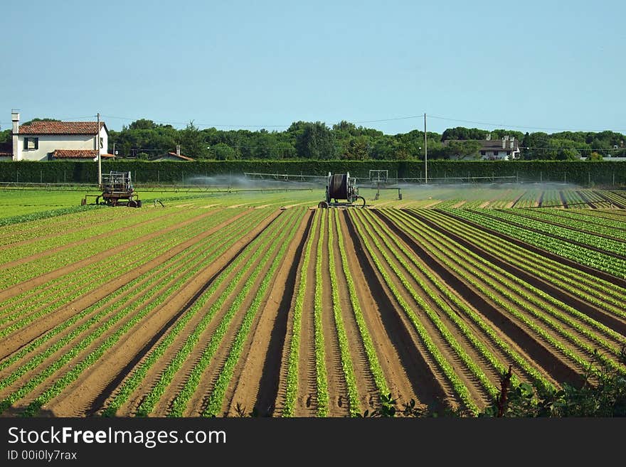 Some pics about countryside of Tuscany and work. Some pics about countryside of Tuscany and work