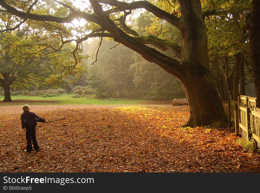 The golden haze of a warm autumns day