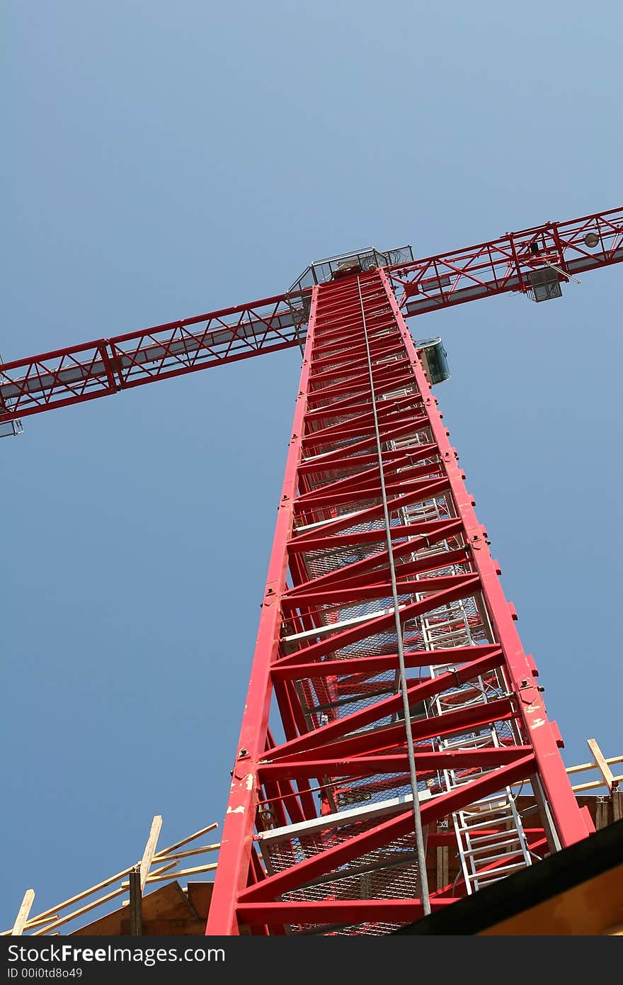 Red Crane Into Sky