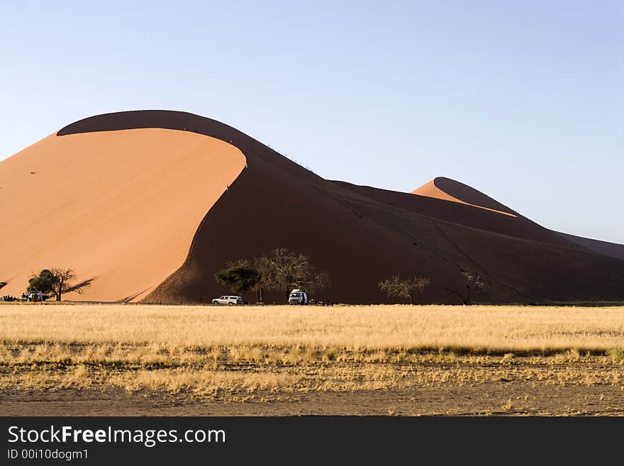 Desert sand dune in namibia africa