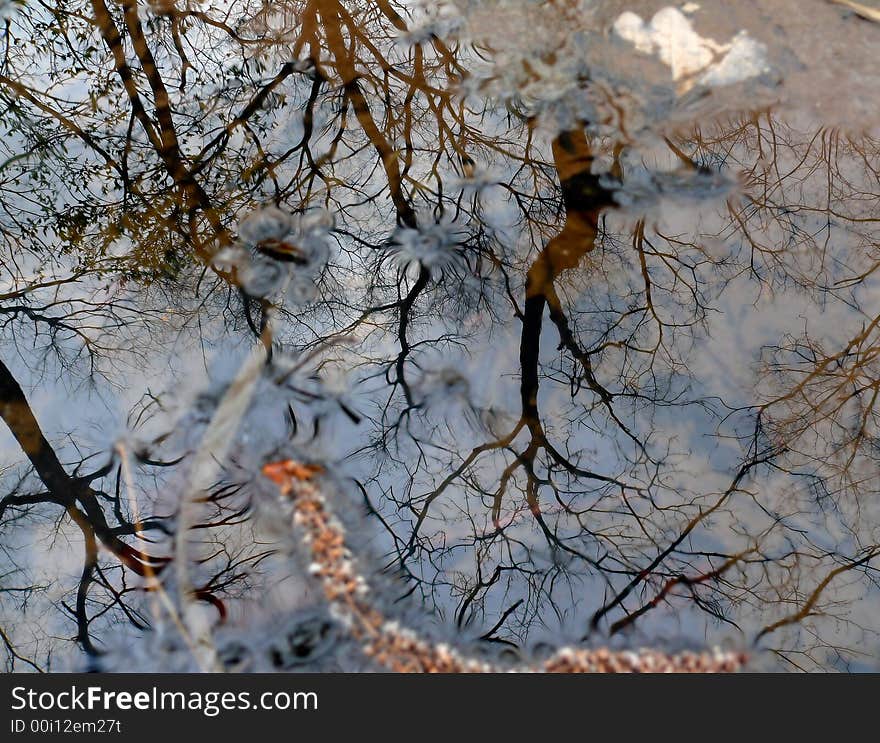 Surface of water with reflections of trees and sky with clouds. Russian Far East, Primorye. Surface of water with reflections of trees and sky with clouds. Russian Far East, Primorye.