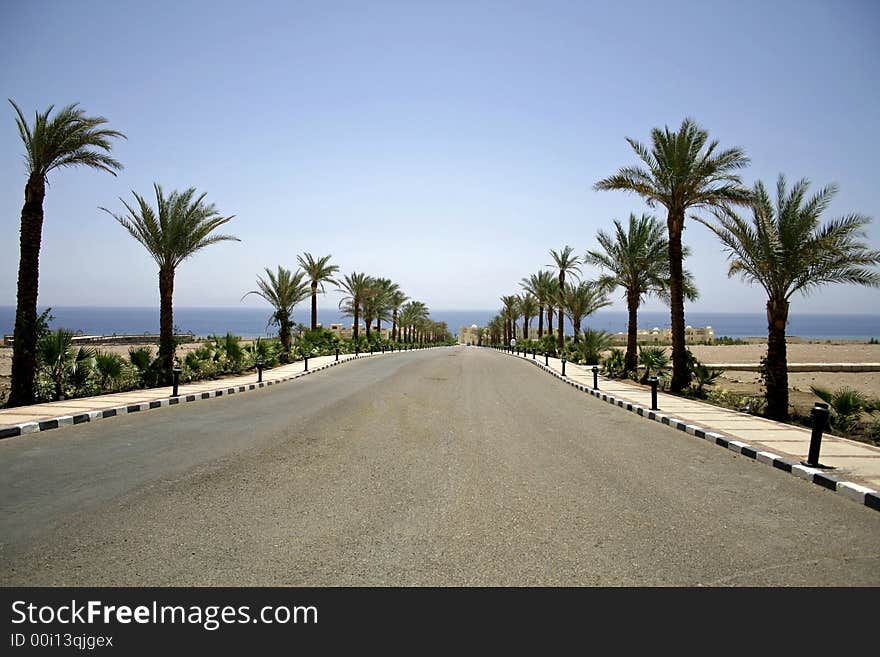 Desert road in the red sea reg