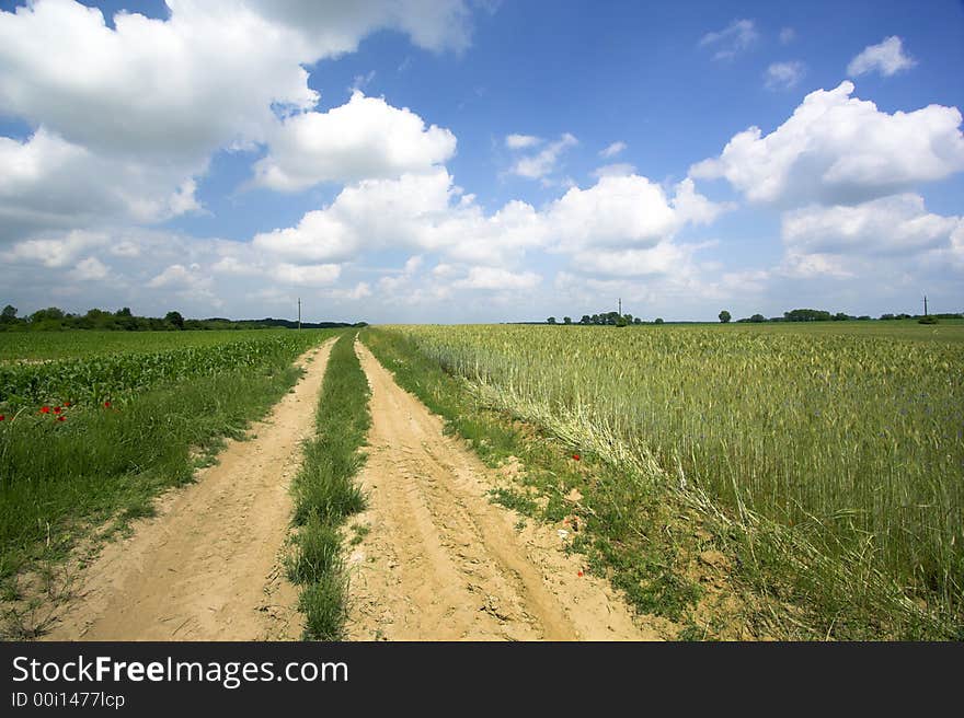 Road with blue sky and green field