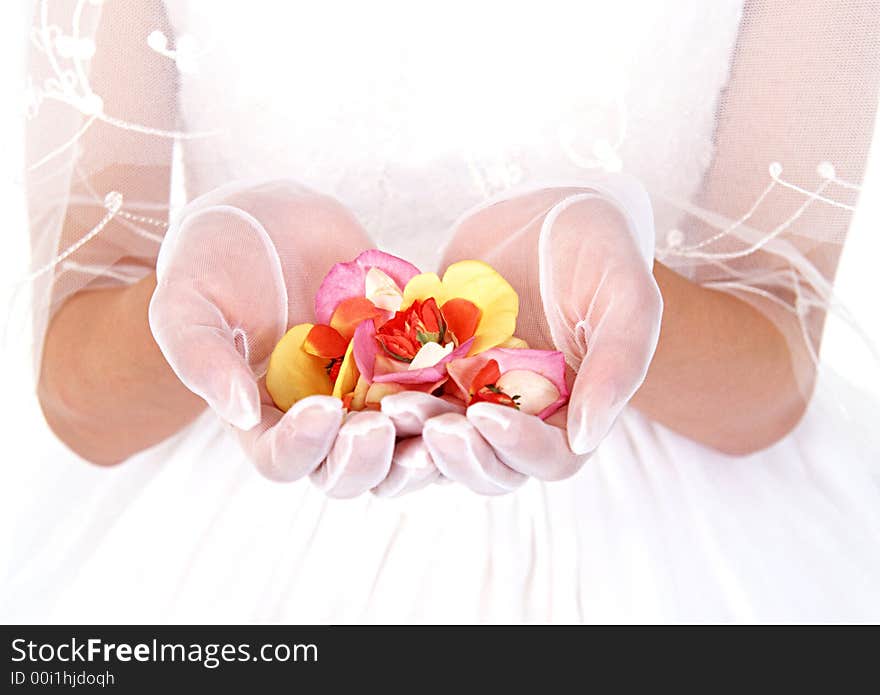 This is a White Background Bride and petal