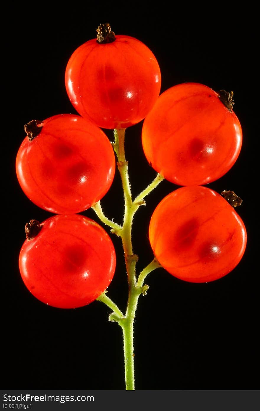 Five red currants on black background