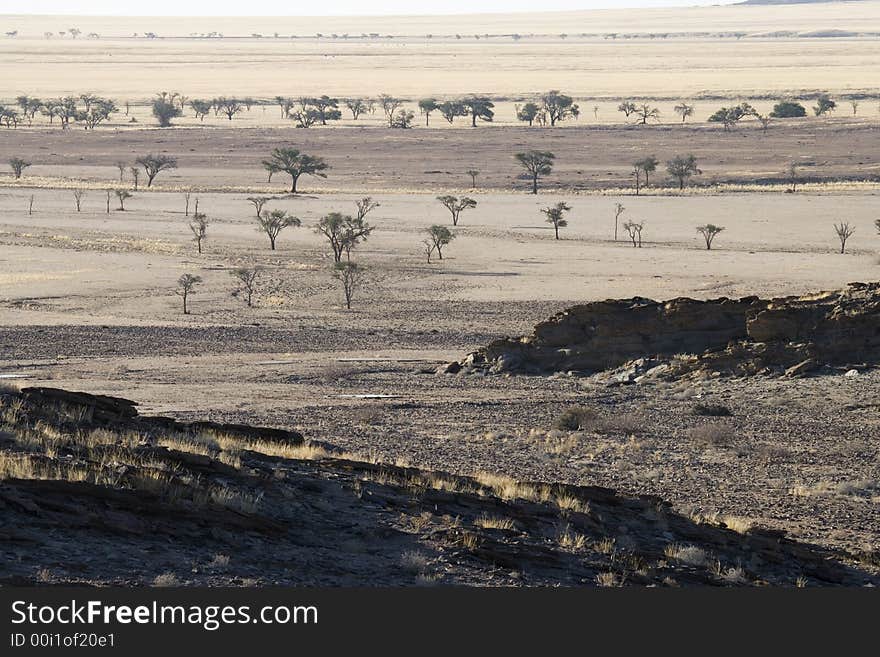 Desert landscape