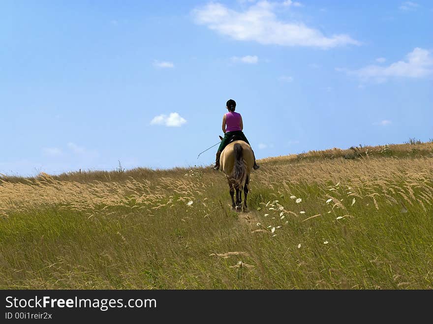 Woman riding in a meadow. Blue sky as background. Woman riding in a meadow. Blue sky as background.