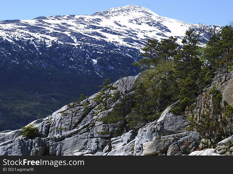 Trees are growing straight on rocks in Yakutania Point park (Skagway, Alaska). Trees are growing straight on rocks in Yakutania Point park (Skagway, Alaska).