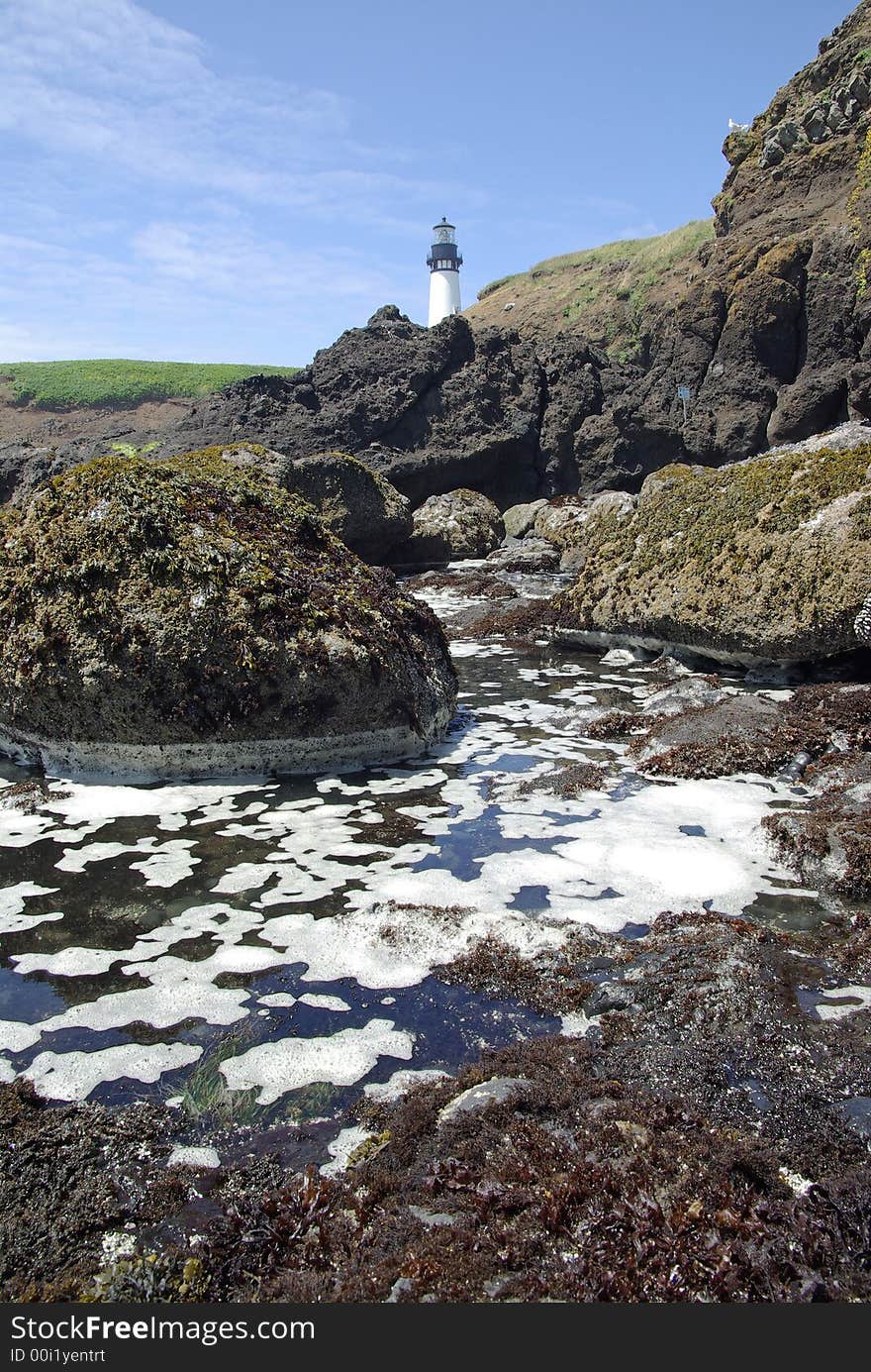 The lighthouse at Yaquina Head