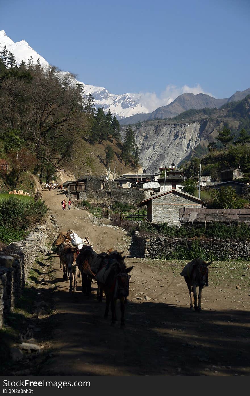 Himalaya Trekking in the Annapurna Region