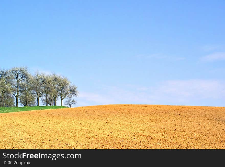 Desert field connected with fresh grass and trees. Desert field connected with fresh grass and trees