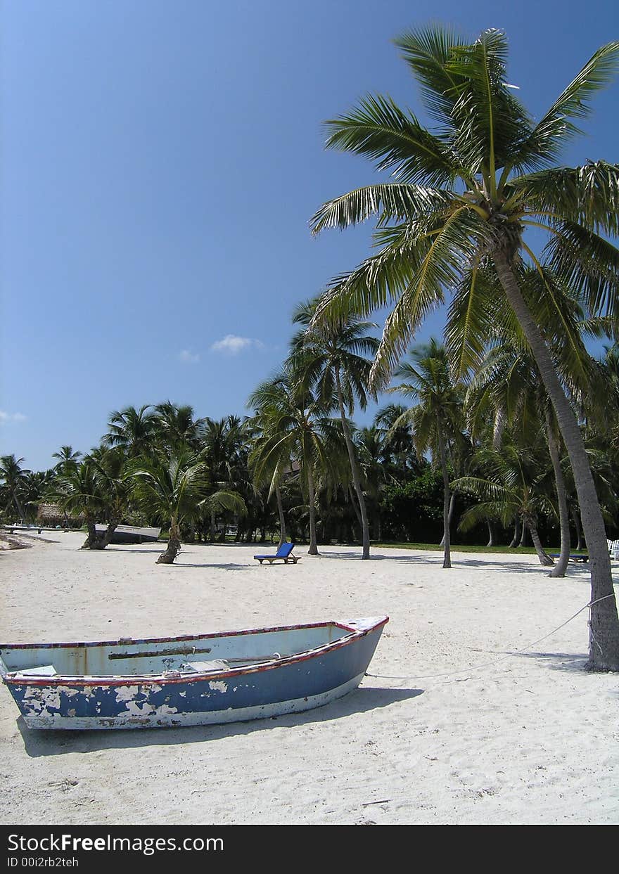 Boat and palms