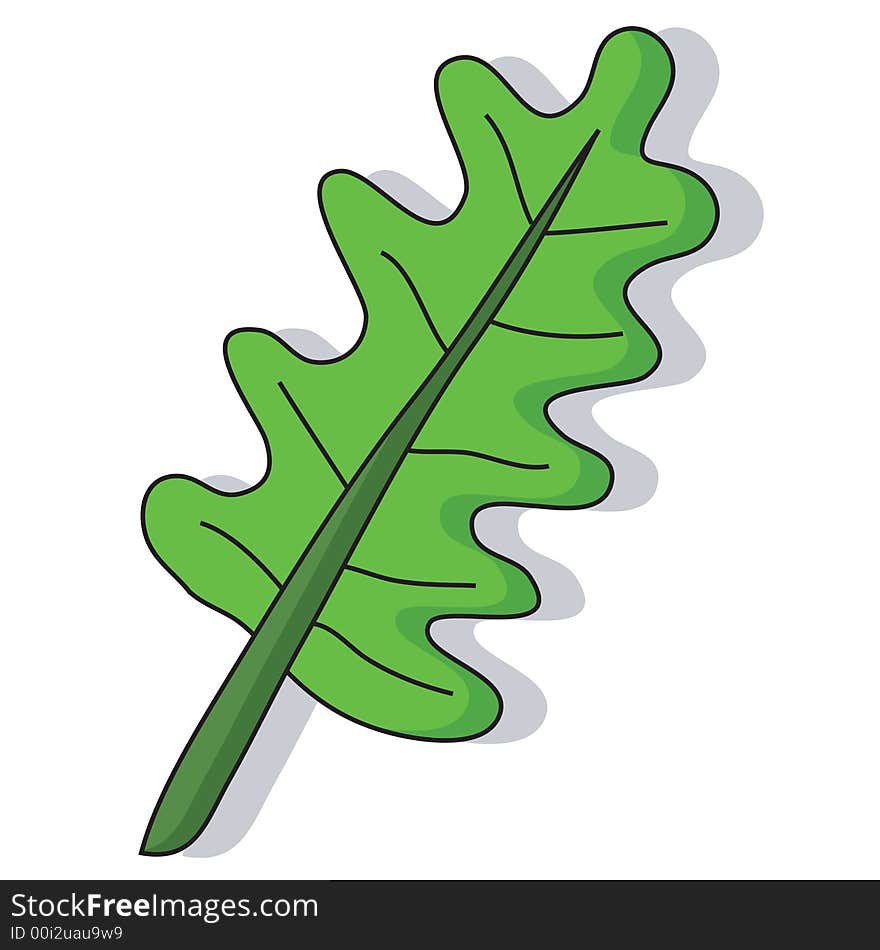 Cartoon Leaf