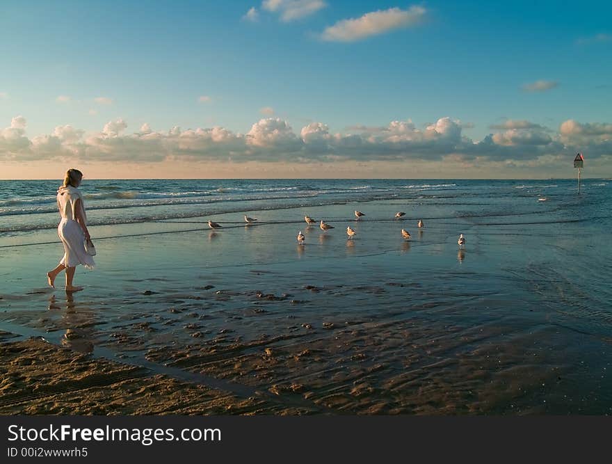 Pretty girl and the seagulls