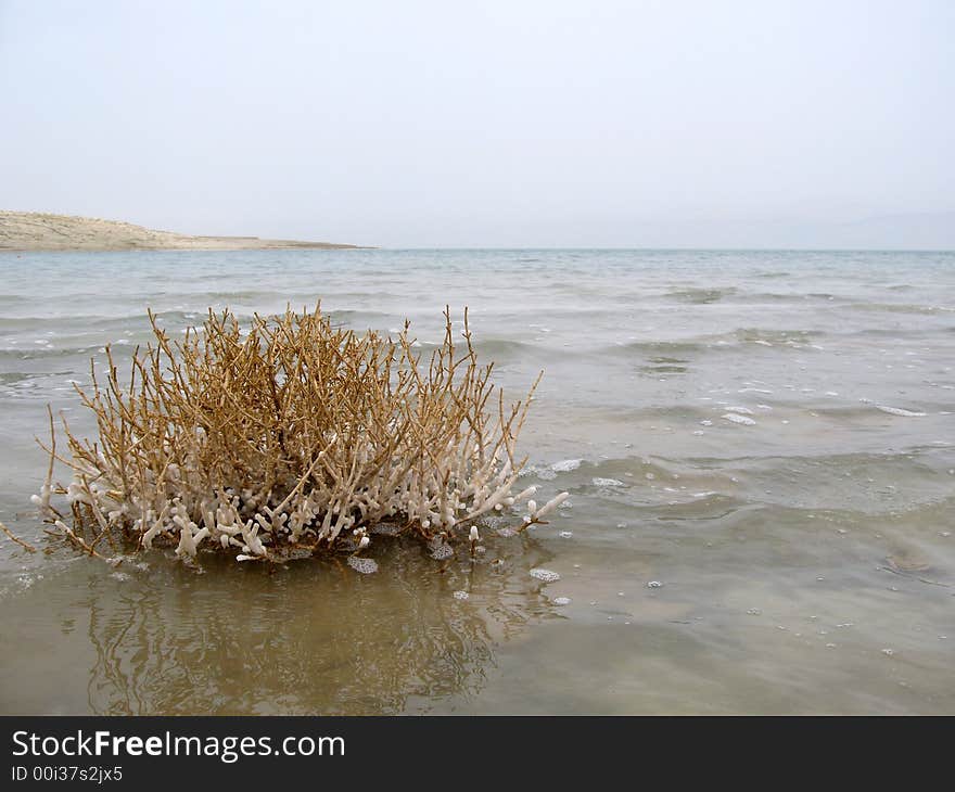 Dead sea and crystals minerals