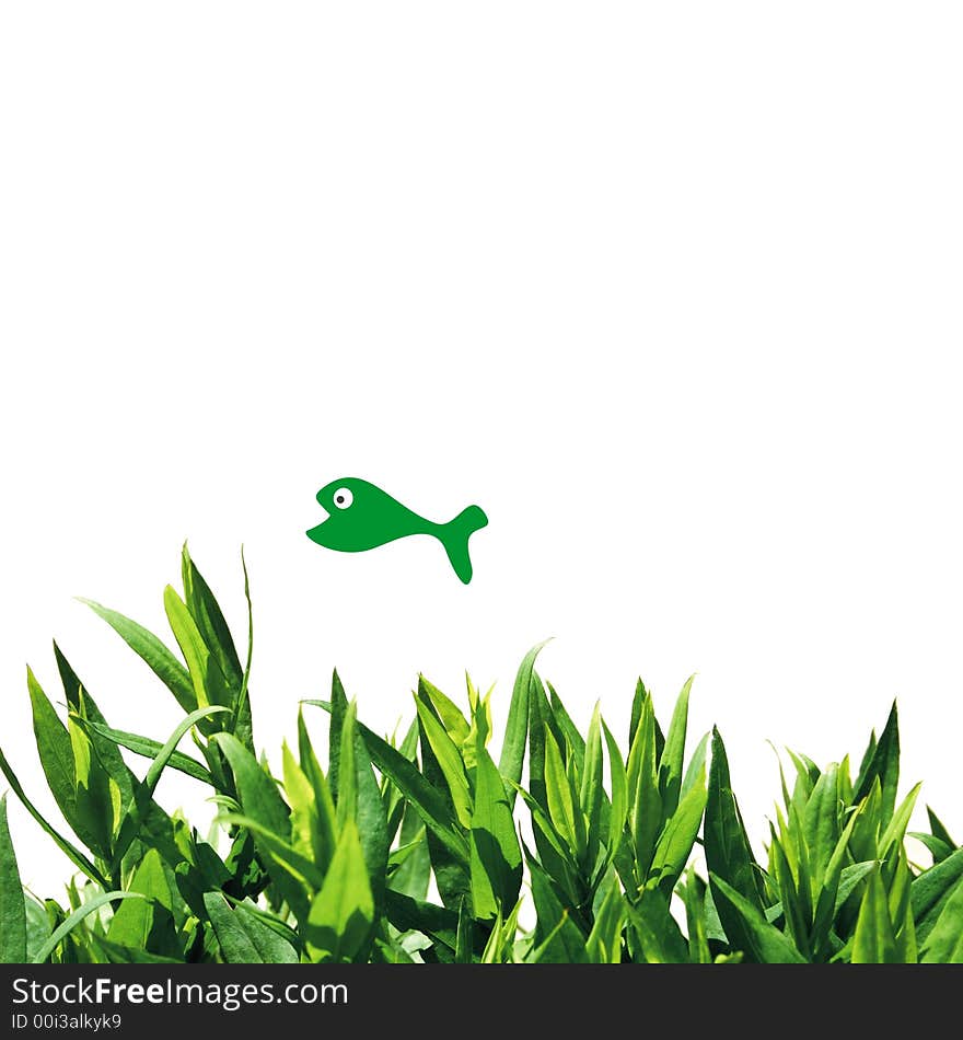 Green leaves on white with a fish