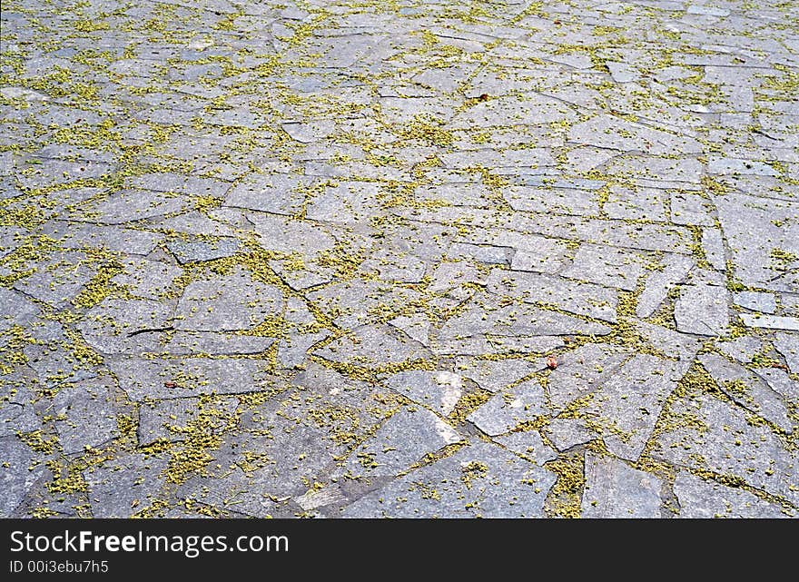 The yellow leafs on the pavement plates