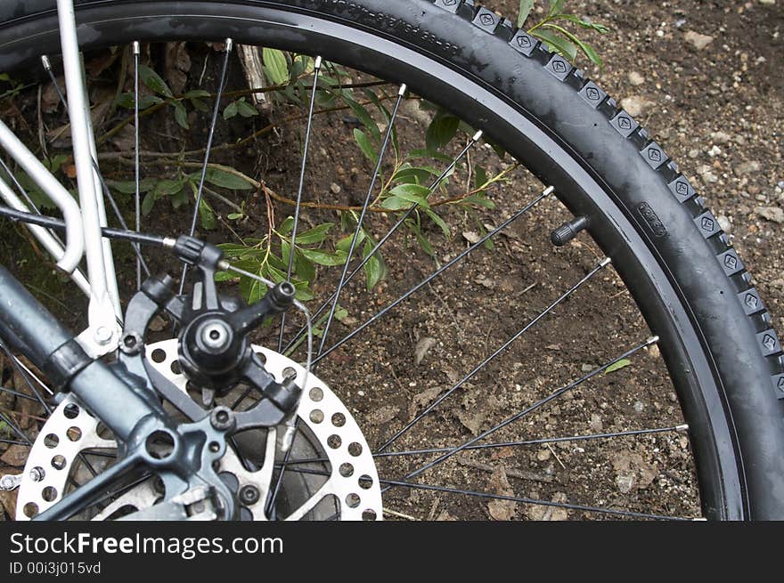 Rear bike wheel with gear and disk brake visible