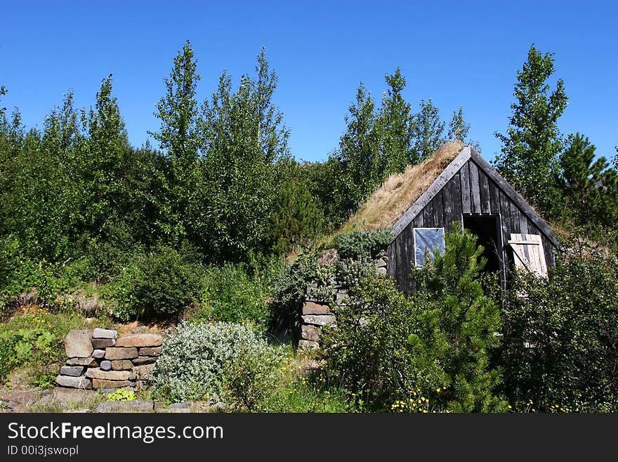 A mountain cabin in disrepair surrounded by growth and trees