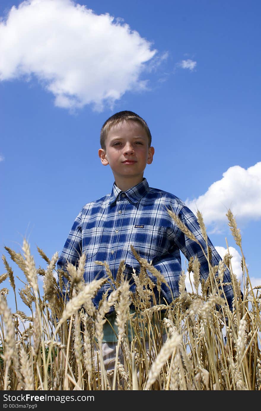 Boy in the middle of a wheaten field. Boy in the middle of a wheaten field