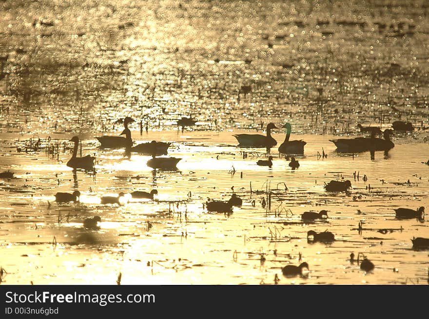 Refuge Sunset