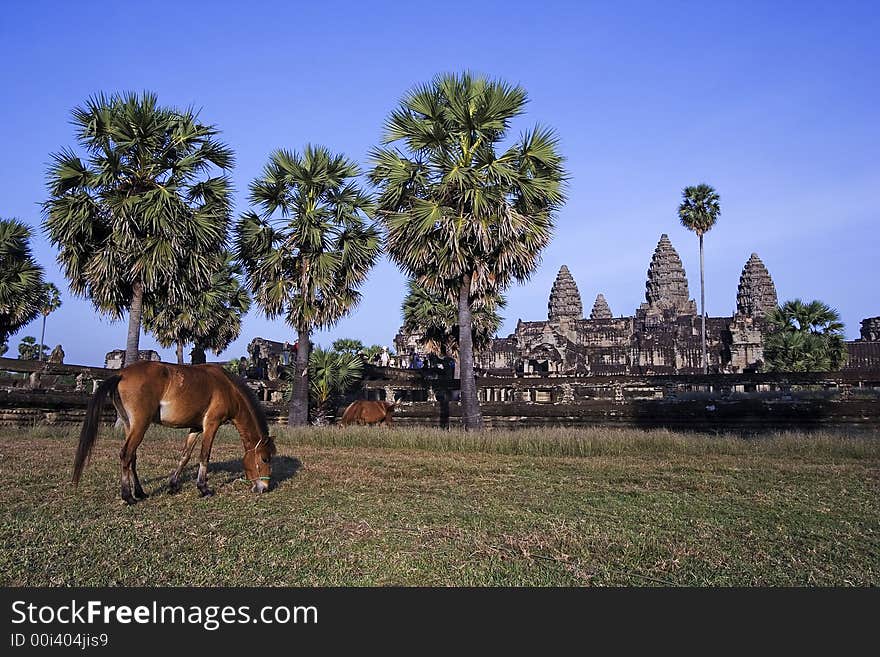 Angkor Wat with a horse in front.