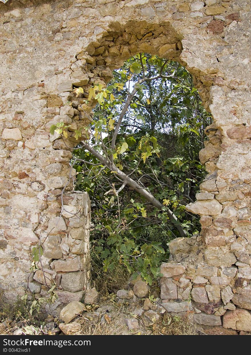 Old wall in a vineyard