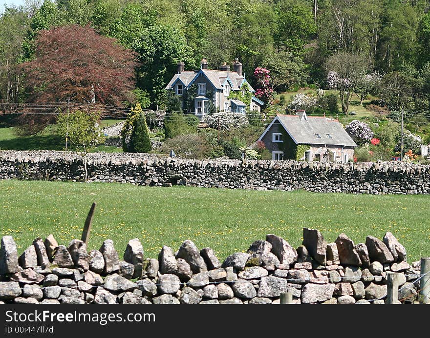 Pretty cottage with colorful flowers and shrubs in the garden