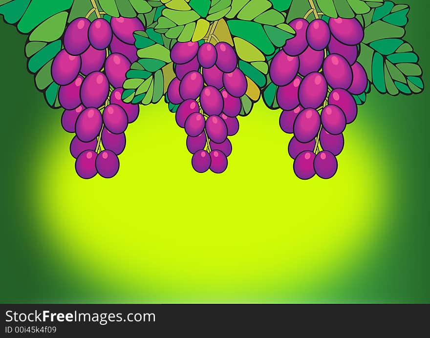 Purple Grapes