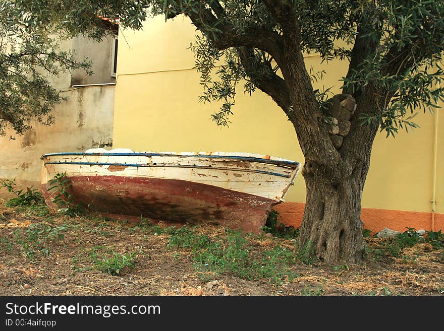 An old wooden boat in between olive trees. An old wooden boat in between olive trees