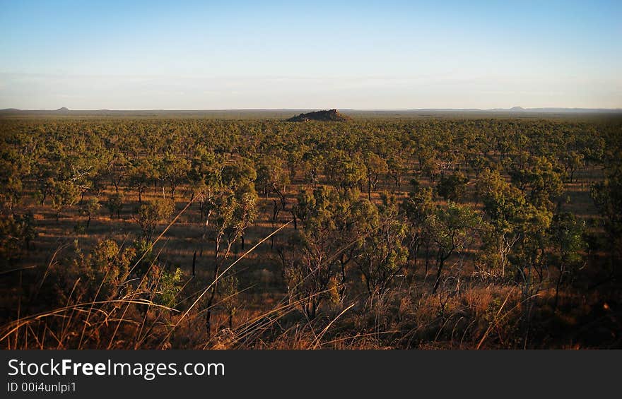 Australian outback taken during a nice sunset.