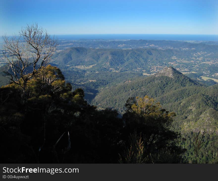 View from Mount Warning