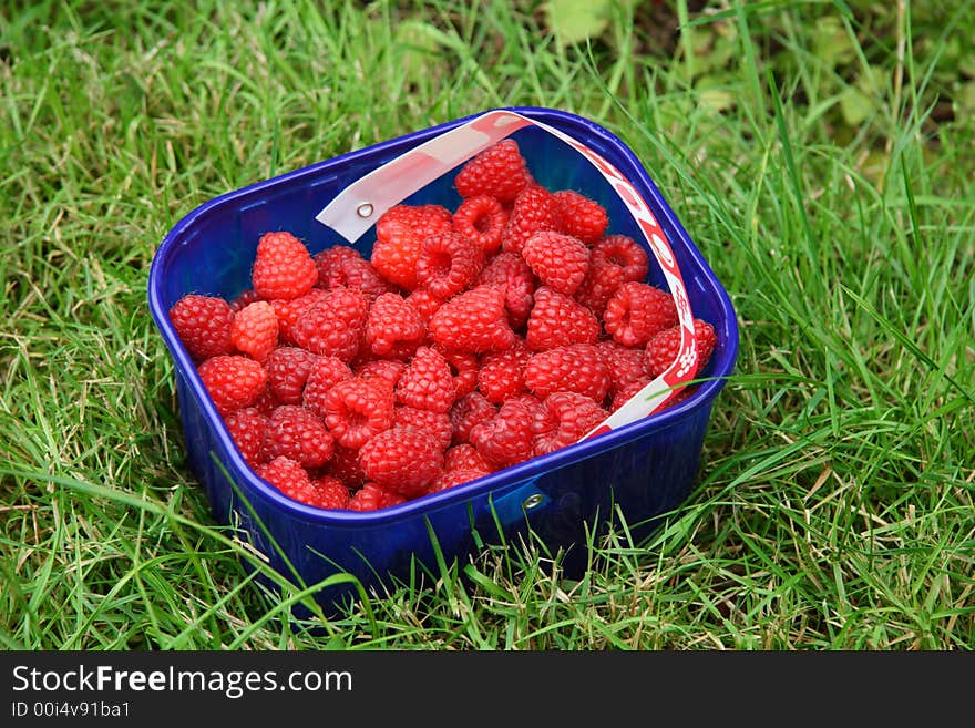 Basket full of raspberries