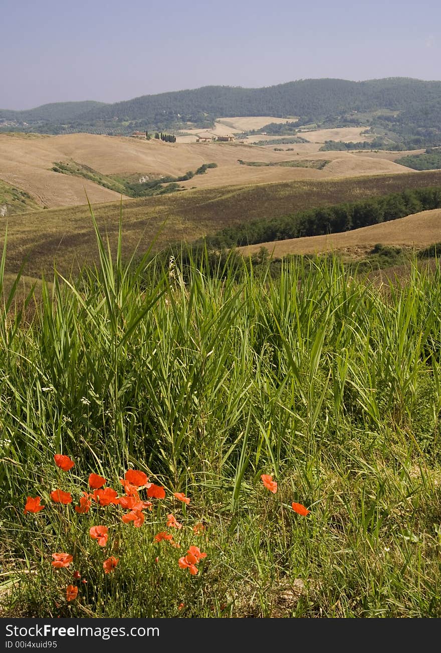 Tuscan Countryside