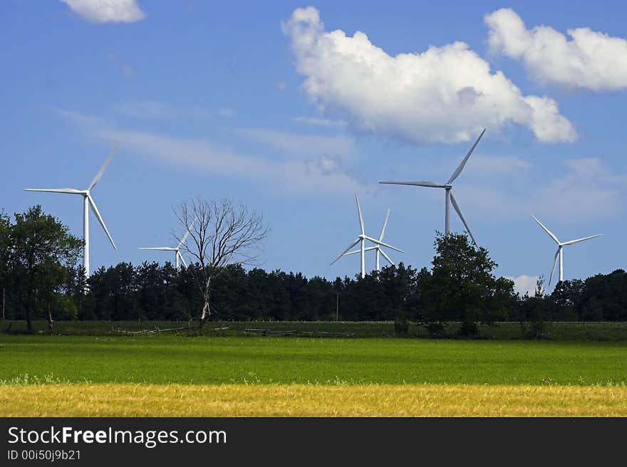 Windmills for generating of electricity. Windmills for generating of electricity.