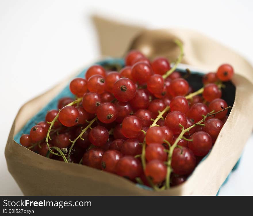 Red currant