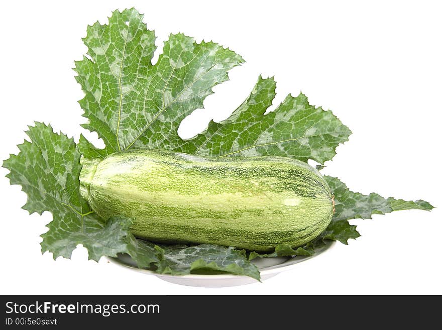 Big green marrow on big marrows liaf