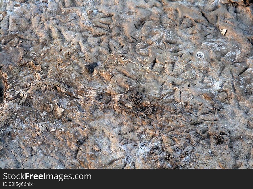 Abstract - Soil Background