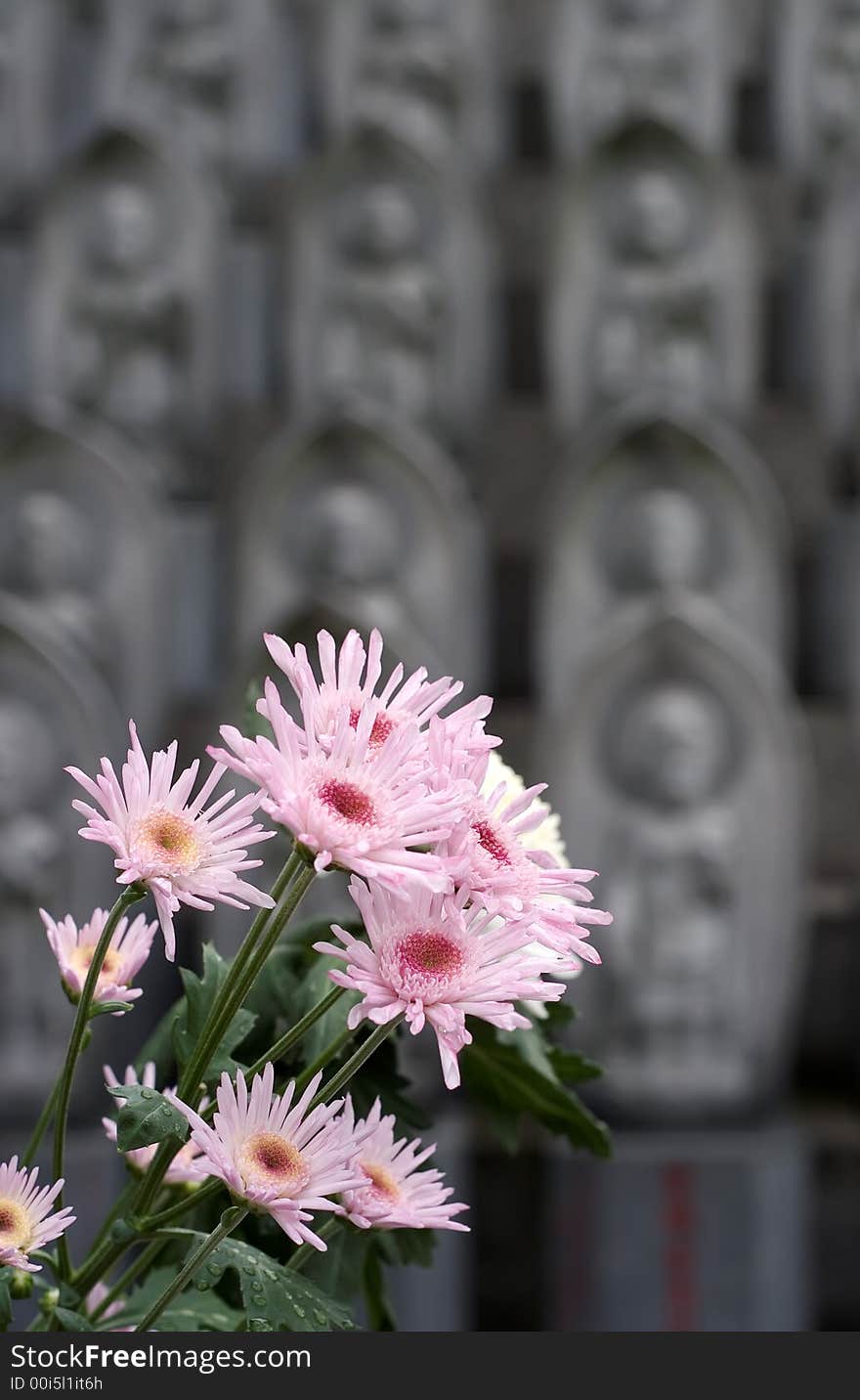 Flowers at Shinto Shrine