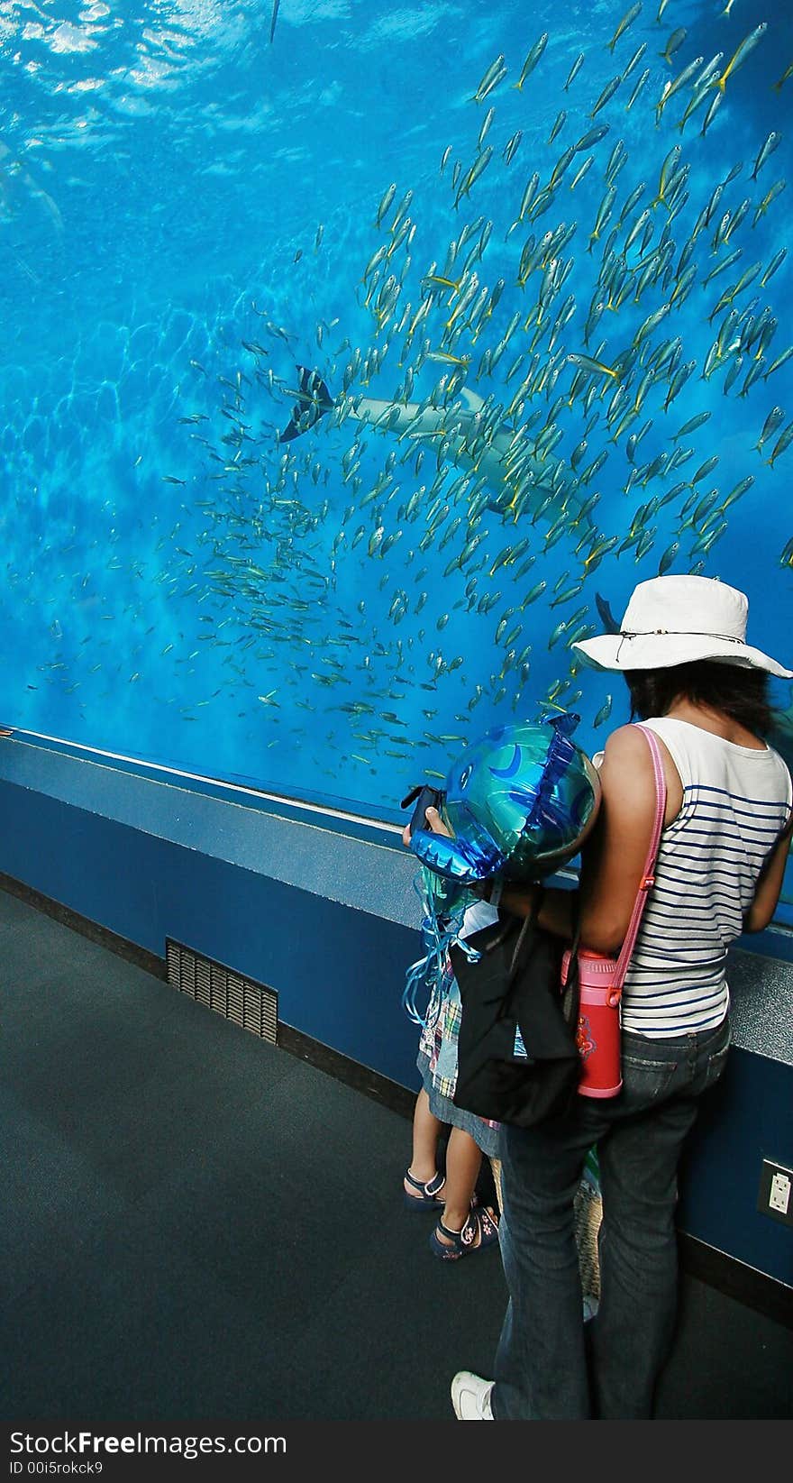 Woman and child looking fish in a huge aquarium tunnel