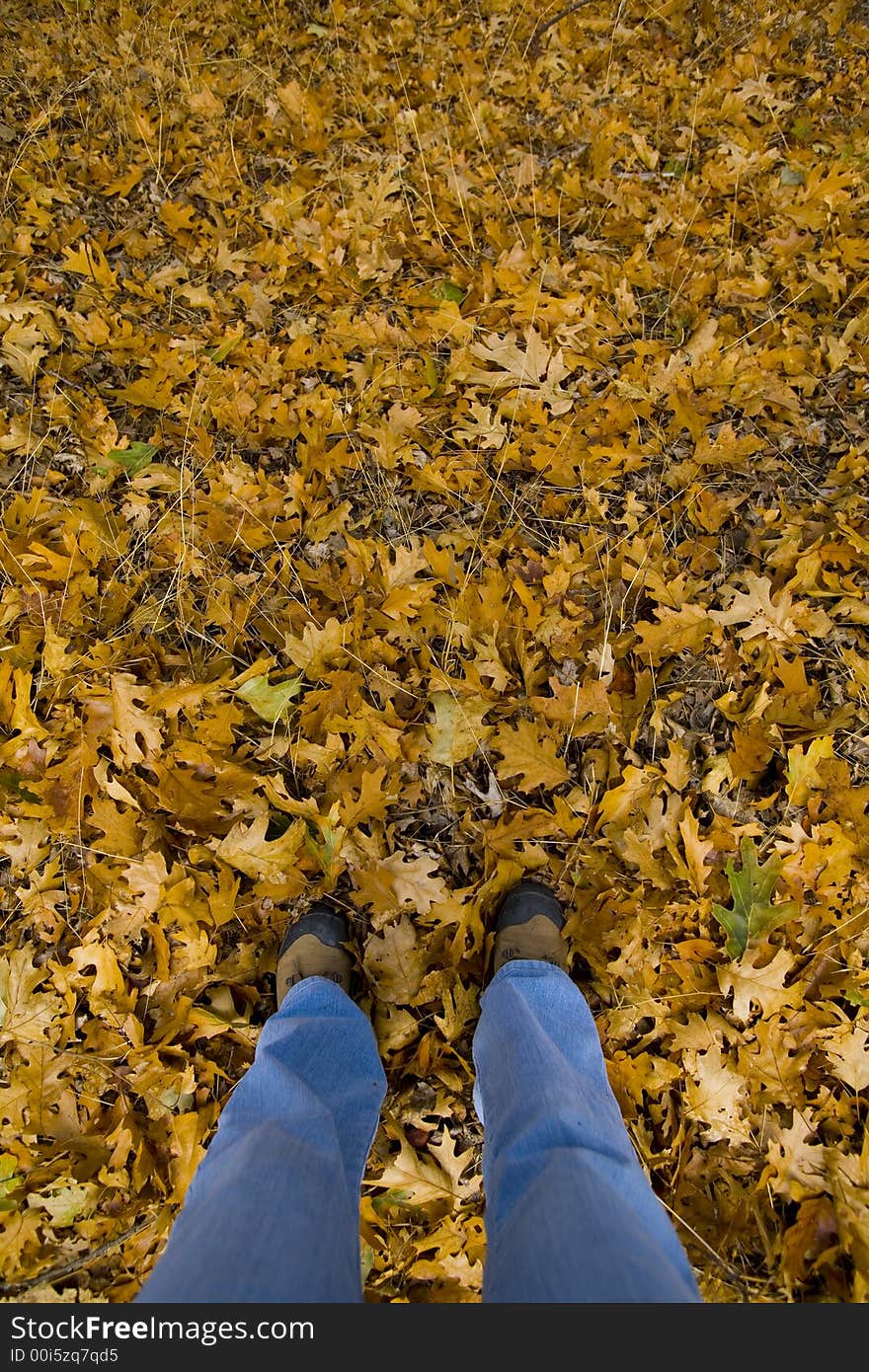 Legs and hiking books standing in fall leaves. Legs and hiking books standing in fall leaves