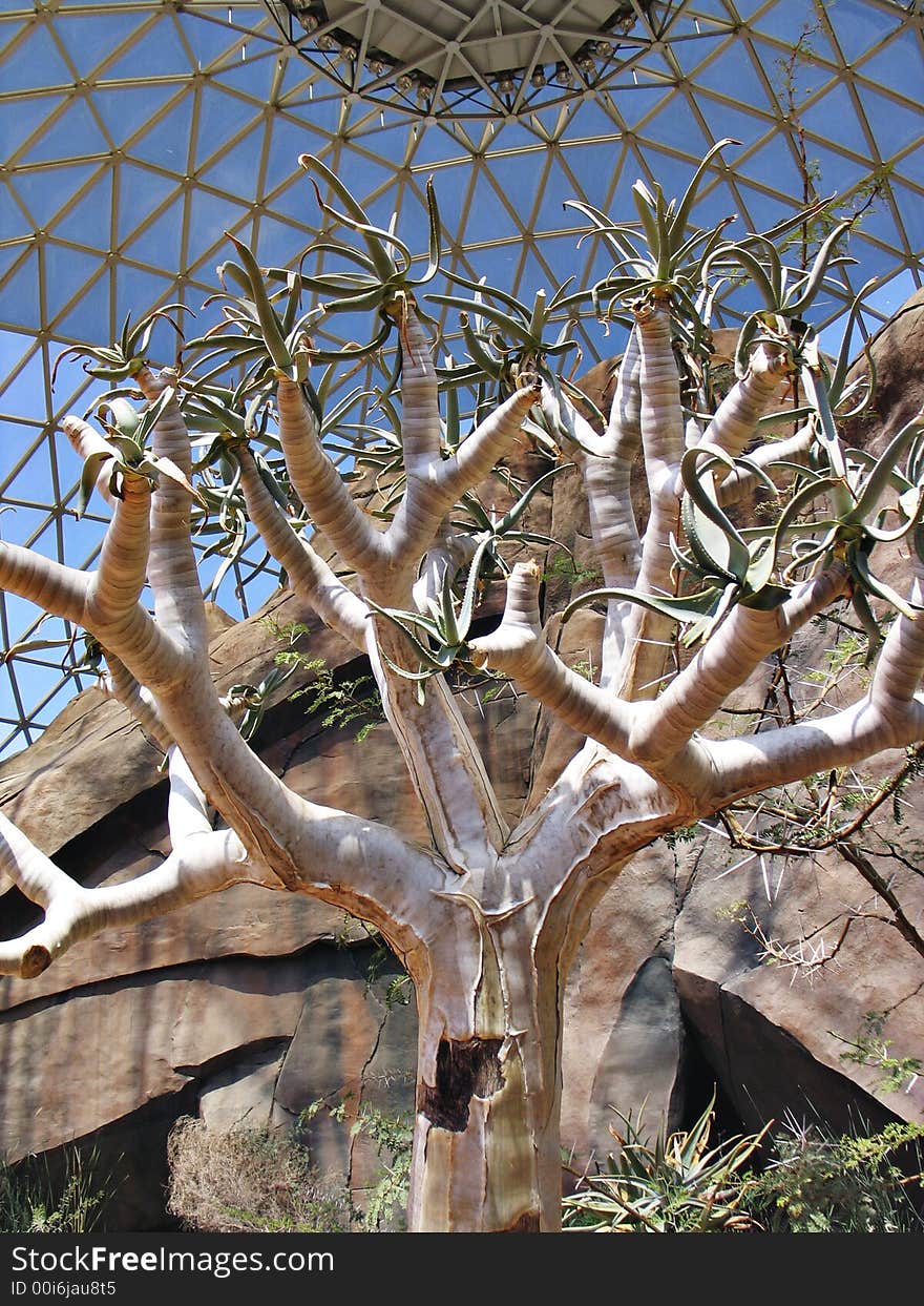 This image was taken in the desert at the zoo. This image was taken in the desert at the zoo.